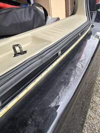 IMG_1196.jpg