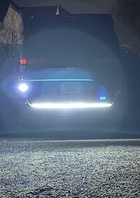 IMG_1195.jpg