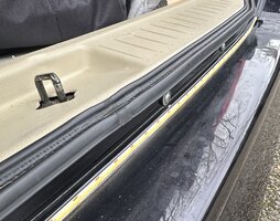 IMG_1196 1.jpg