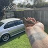 Sonic_Attack